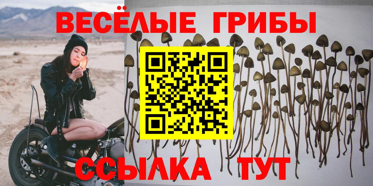 Псилоцибиновые грибы мухоморы  Вход с VPN  Валуйки 